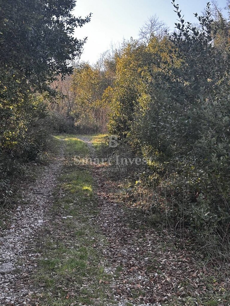 Image 6240508 - 1