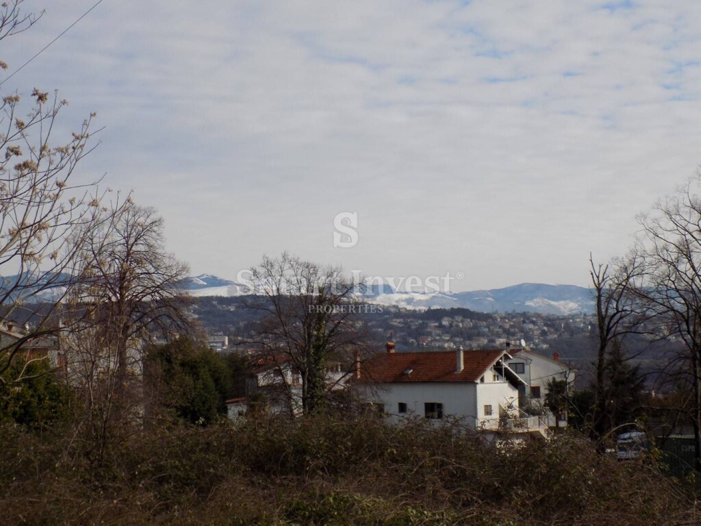 Image 6240511 - 1