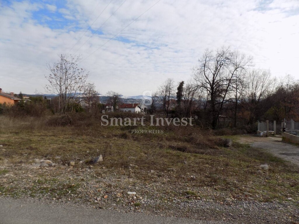 Image 6240511 - 2