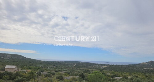 Thumbnail 6240534 - 11