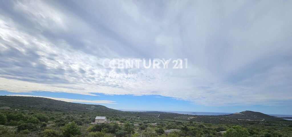 Image 6240534 - 14