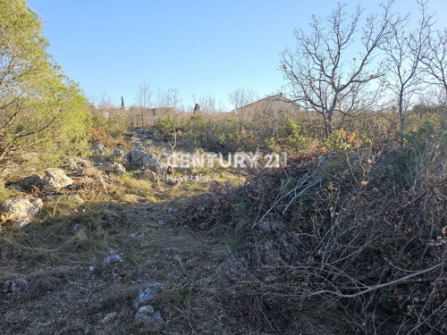 Thumbnail 6240539 - 9