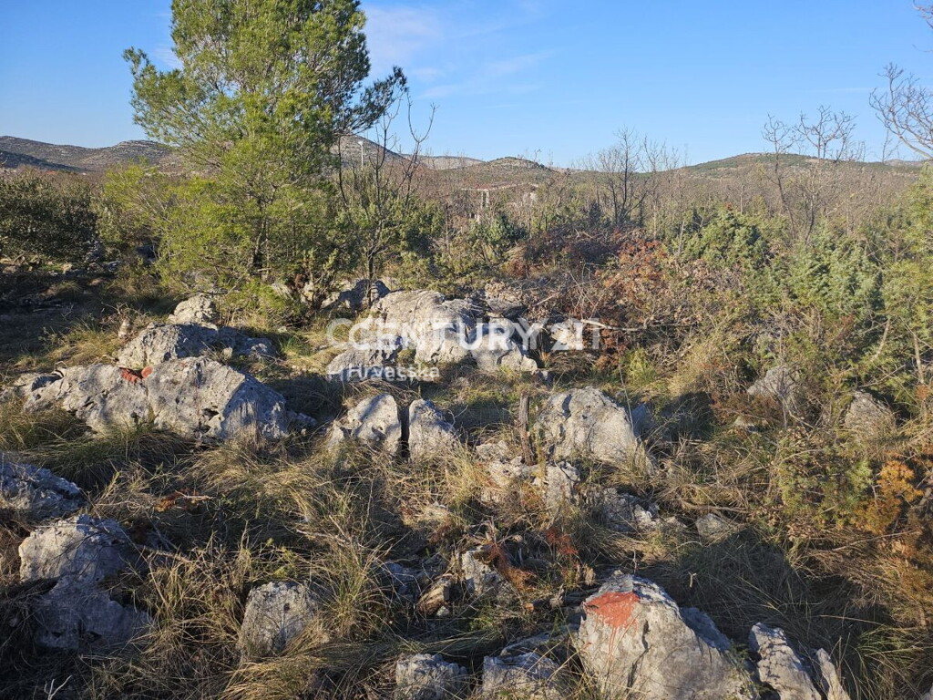 Image 6240539 - 12