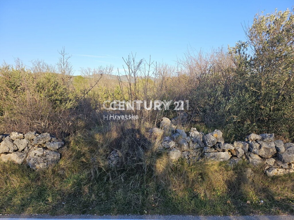 Image 6240539 - 5