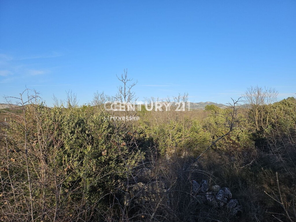 Image 6240539 - 4
