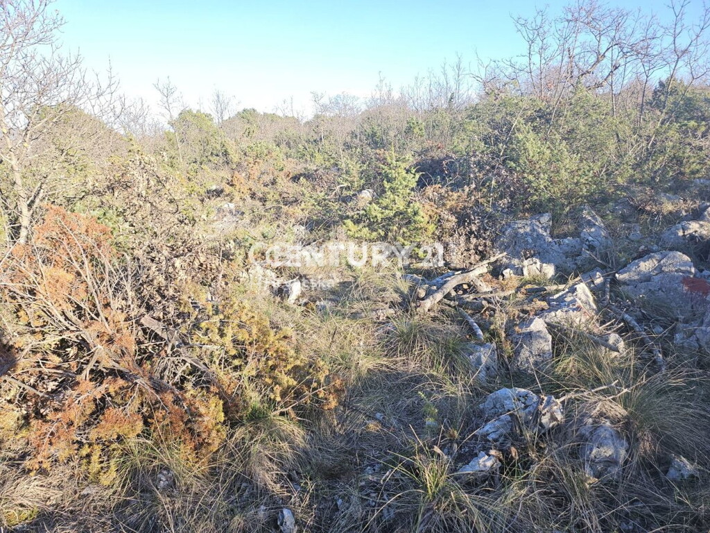 Image 6240539 - 13