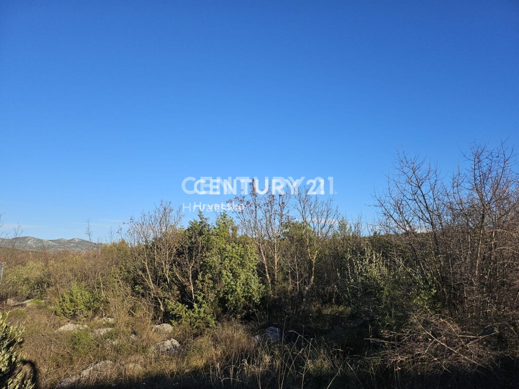 Image 6240539 - 2