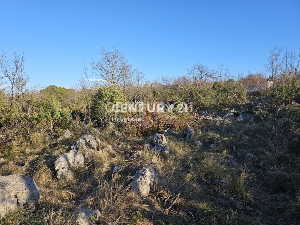 Image 6240539 - 11