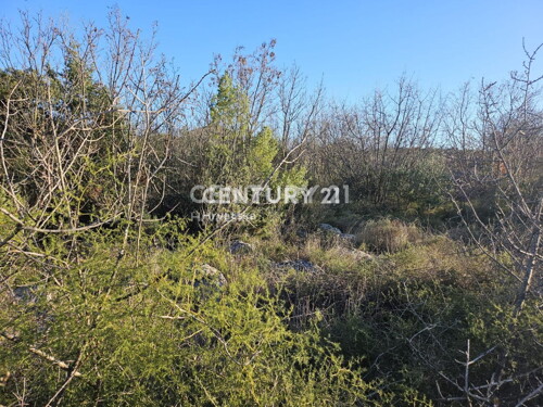 Thumbnail 6240539 - 8