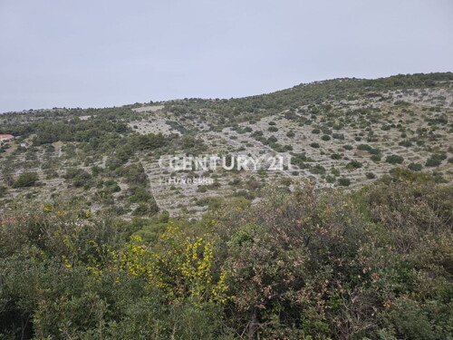 Thumbnail 6240542 - 7