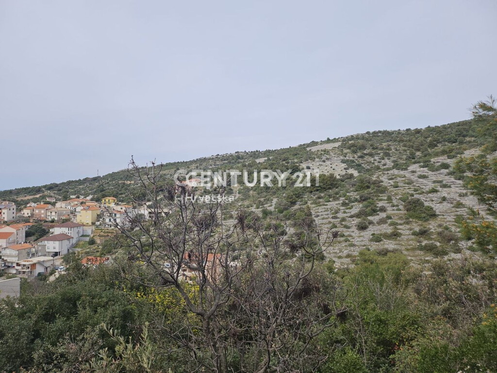 Image 6240542 - 3