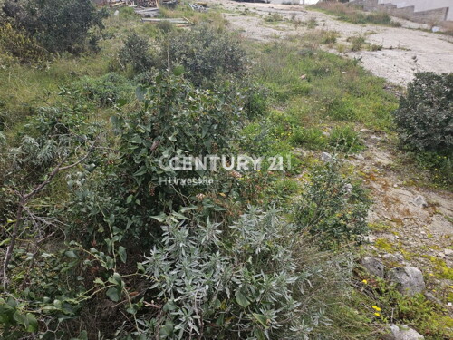 Thumbnail 6240542 - 5