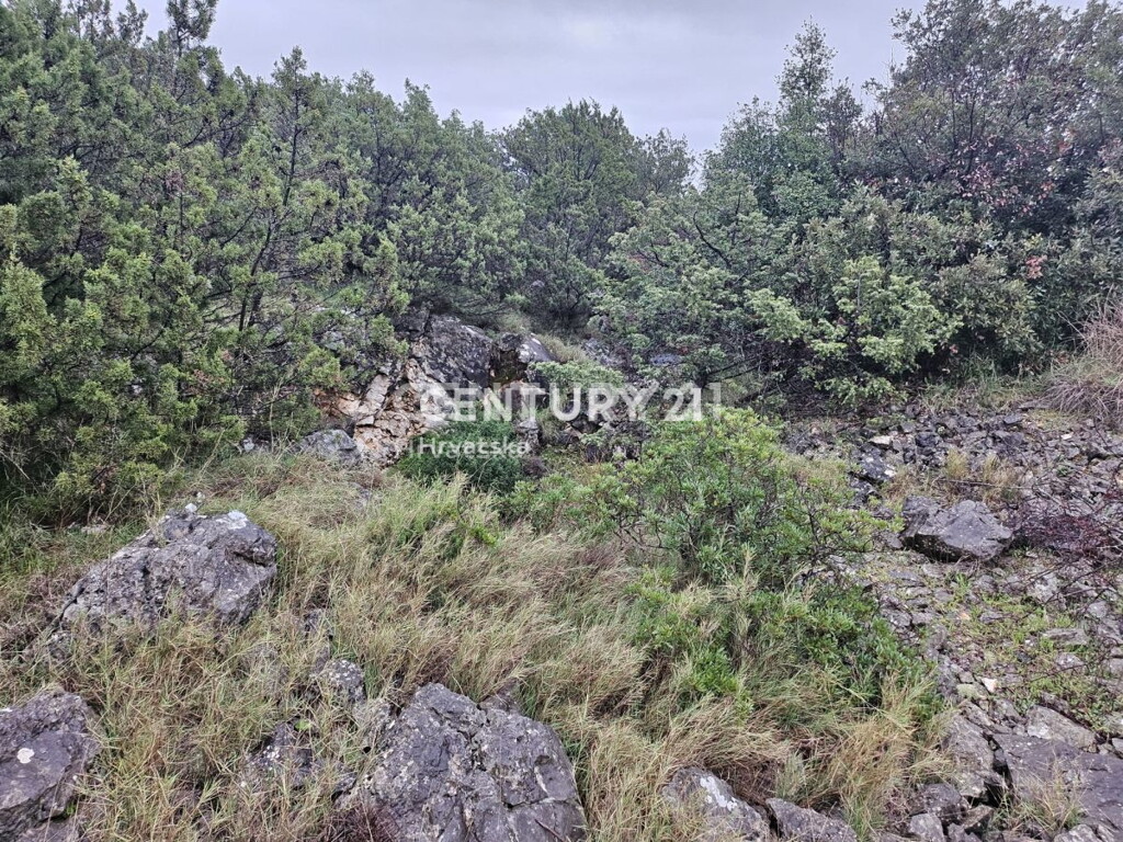 Image 6240543 - 2
