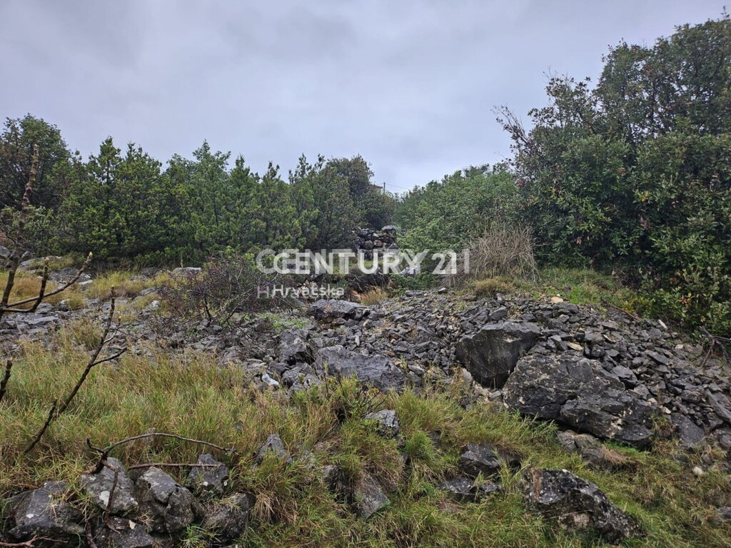 Image 6240543 - 8