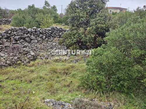 Thumbnail 6240543 - 6