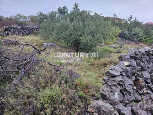 Thumbnail 6240543 - 7