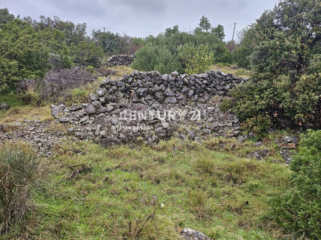Image 6240543 - 4