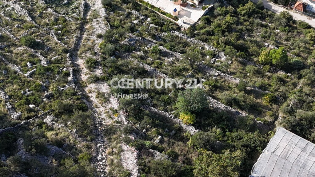 Image 6240547 - 7
