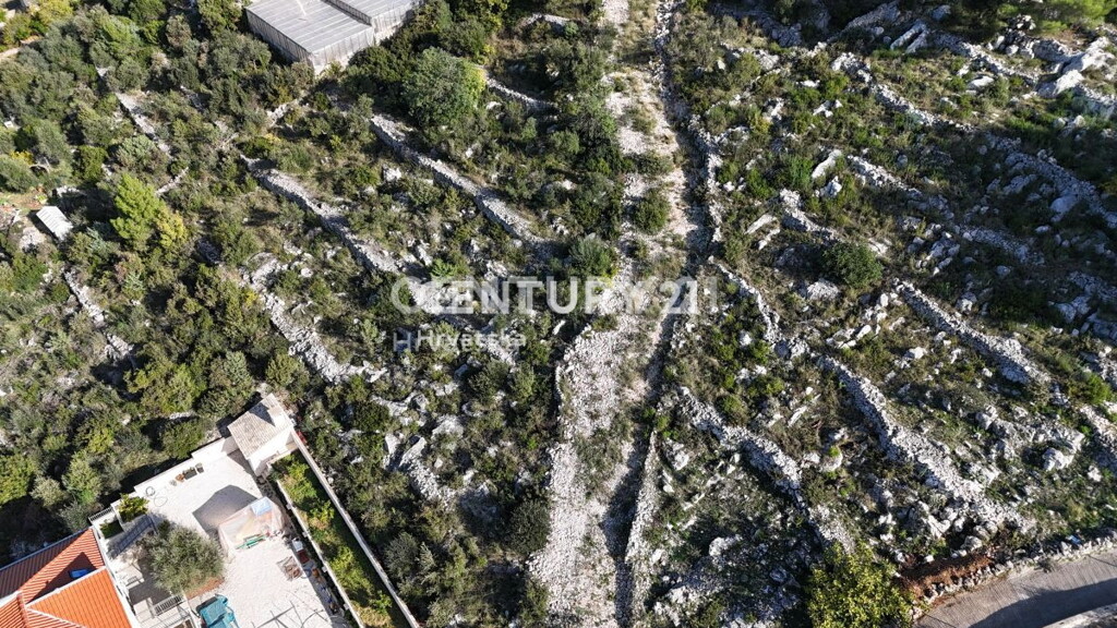 Image 6240547 - 3