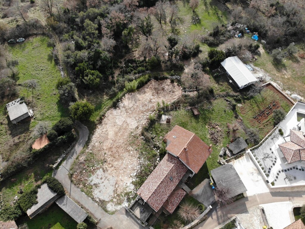 Image 6240687 - 2