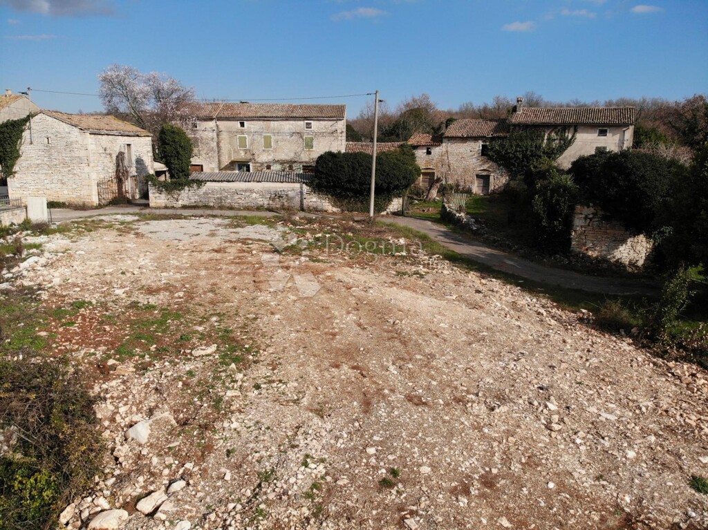 Image 6240687 - 5