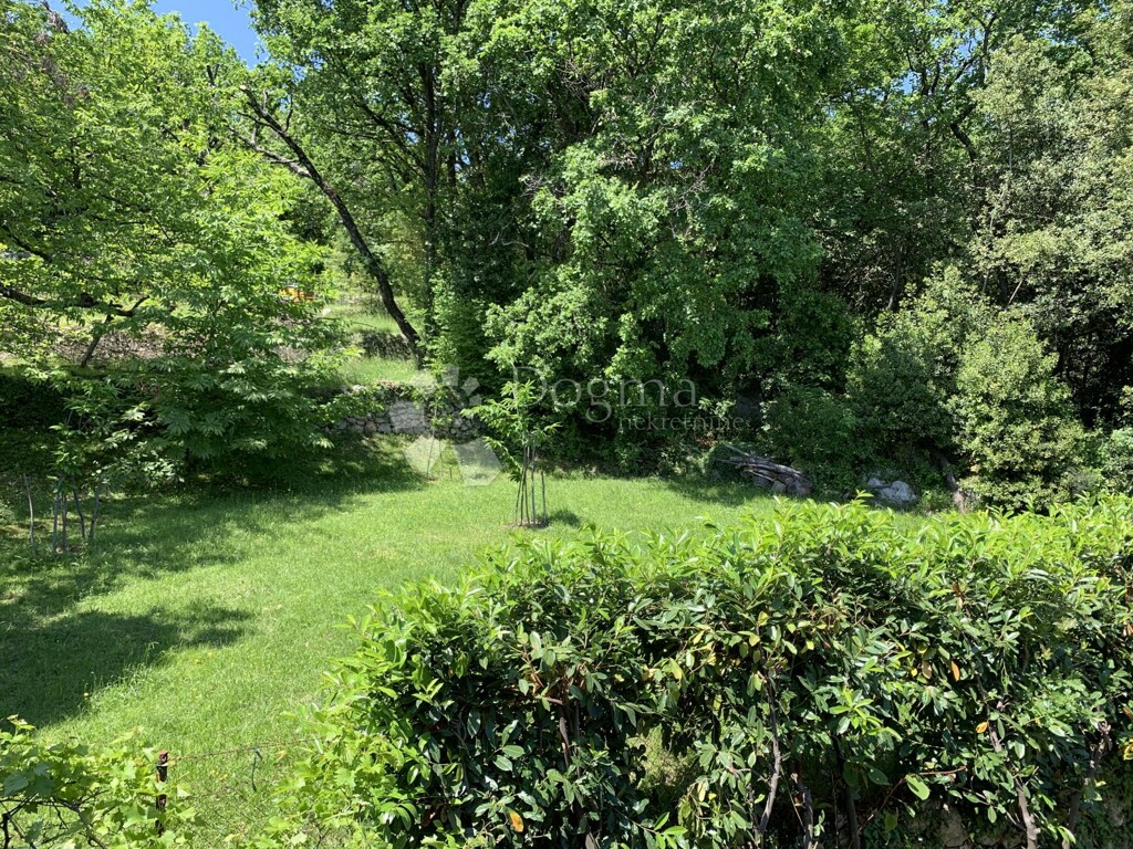 Image 6240717 - 6