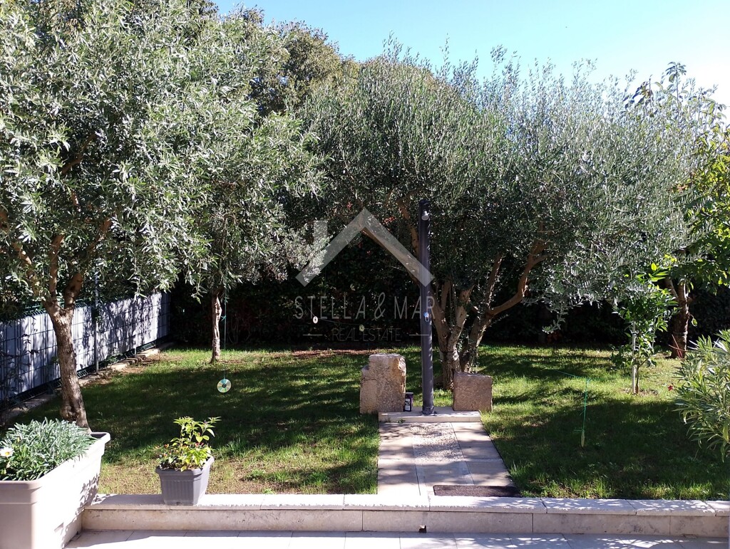 Image 6240723 - 2