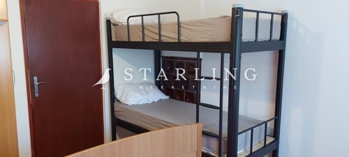 Thumbnail 6240727 - 4