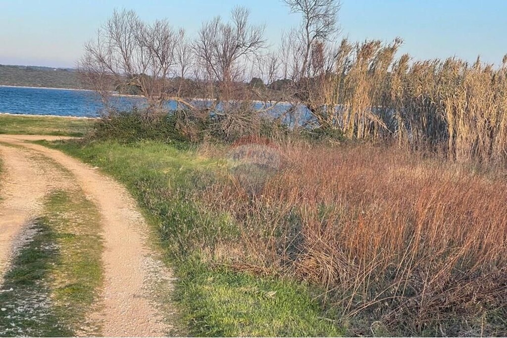 Image 6240829 - 3