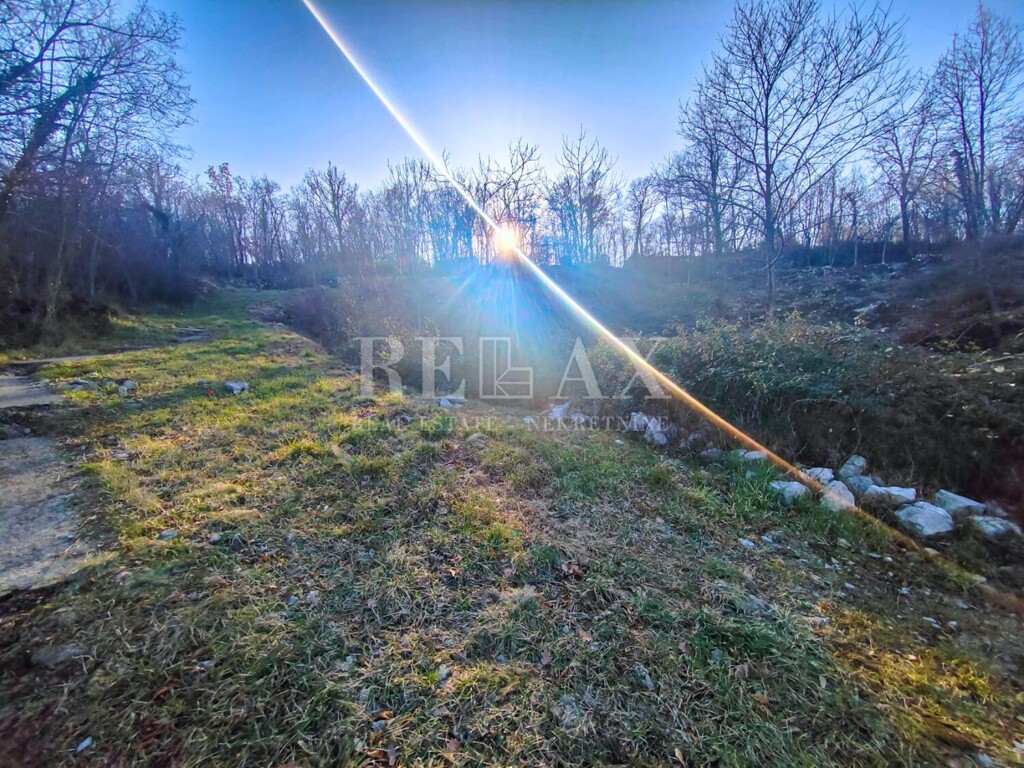 Image 6240881 - 1