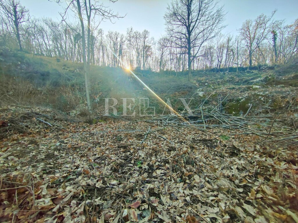 Image 6240881 - 2