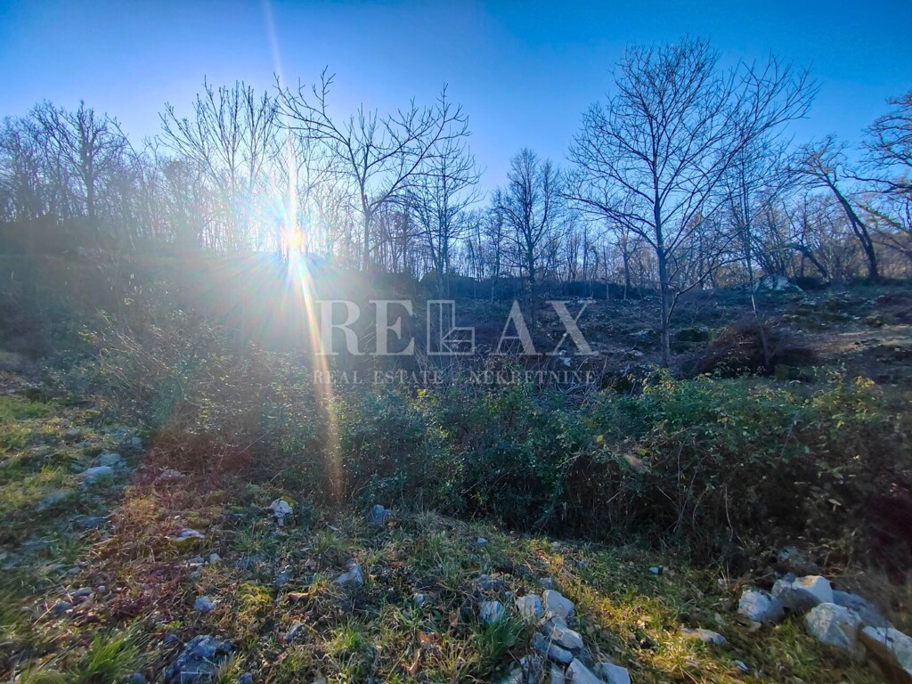 Image 6240882 - 4