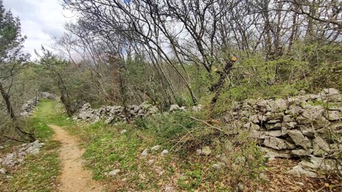 Thumbnail 6240924 - 1