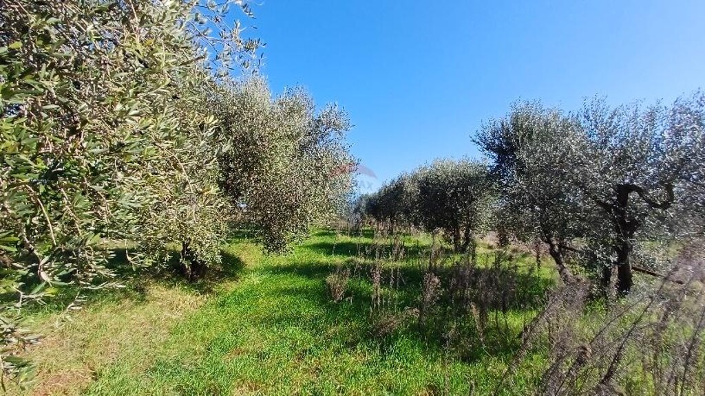 Image 6240931 - 4