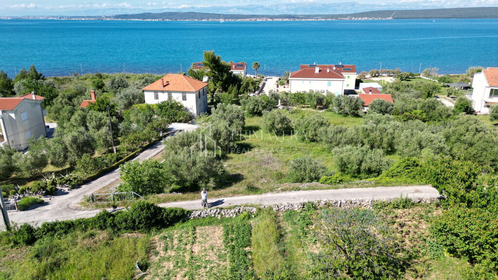 Image 6241009 - 3