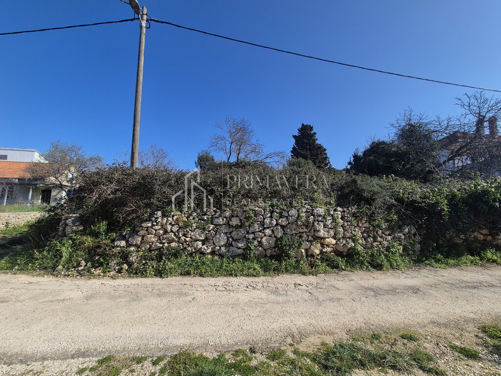 Image 6241029 - 4