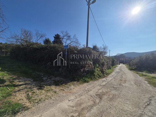 Thumbnail 6241029 - 3