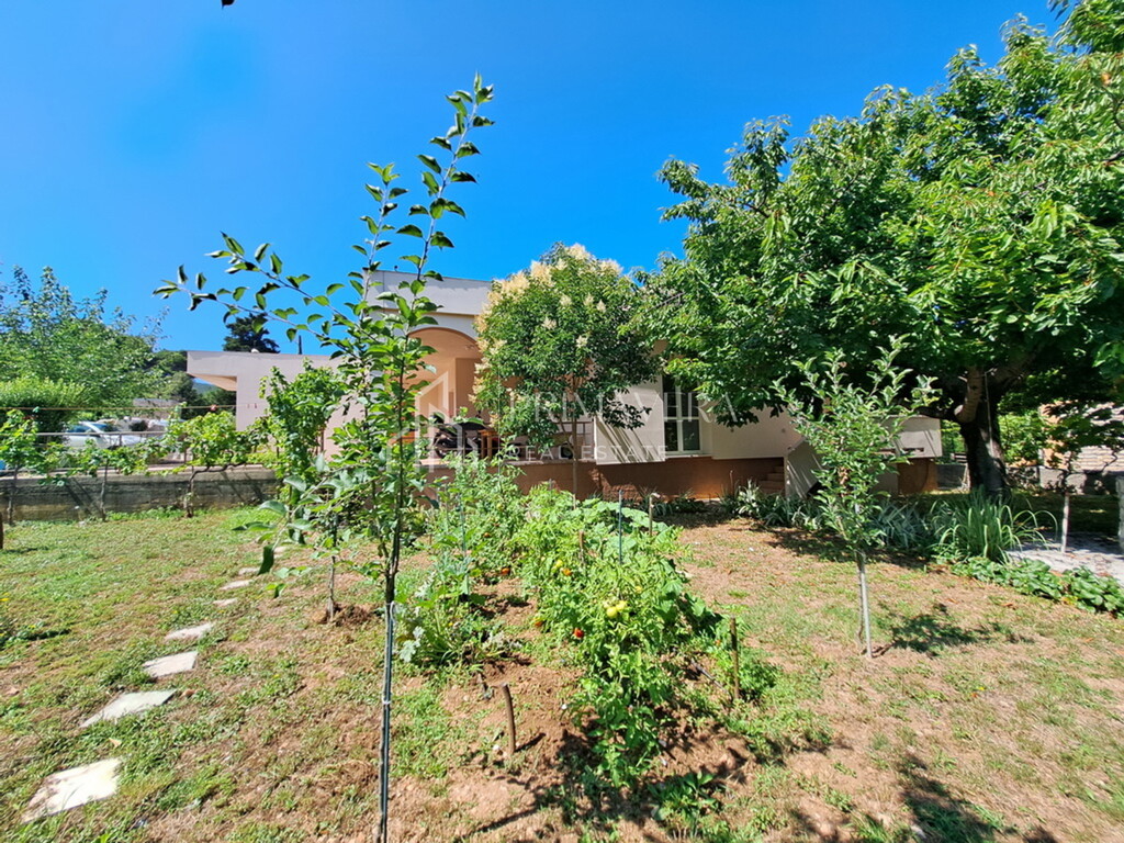 Image 6241057 - 8