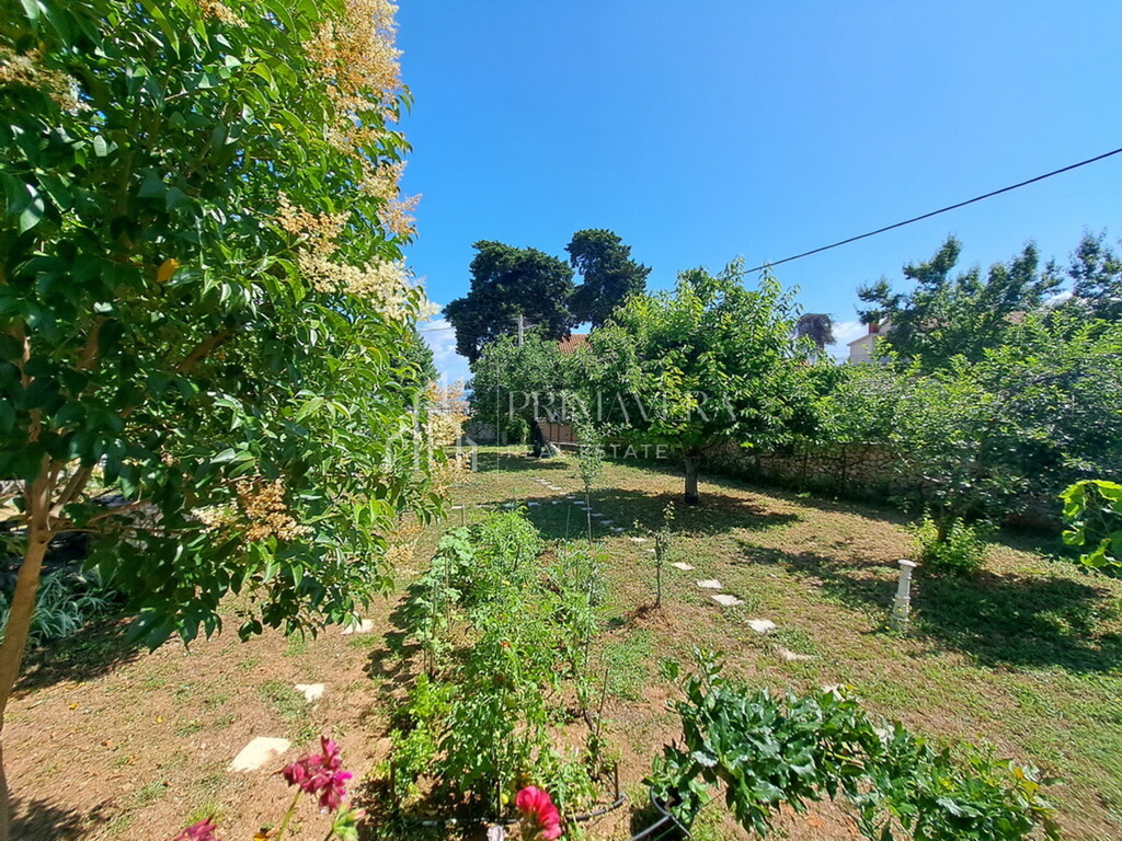 Image 6241057 - 6