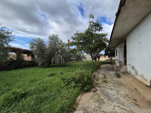 Thumbnail 6241068 - 6