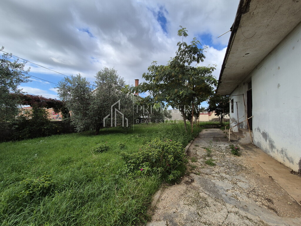 Image 6241068 - 6