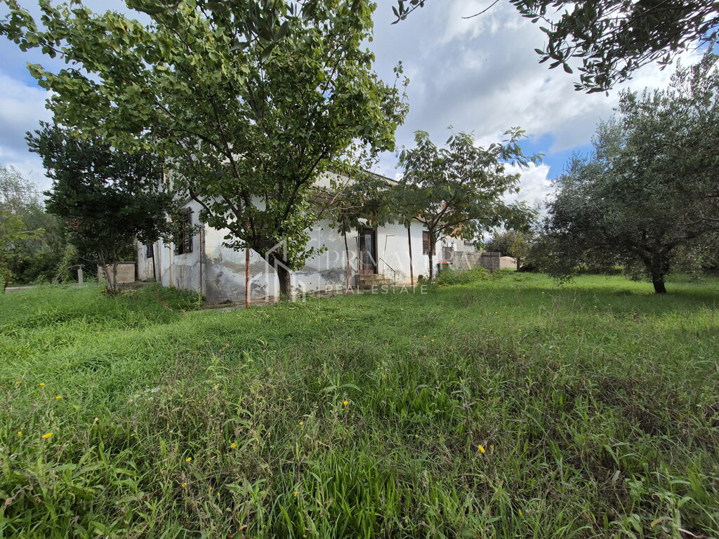 Image 6241068 - 13