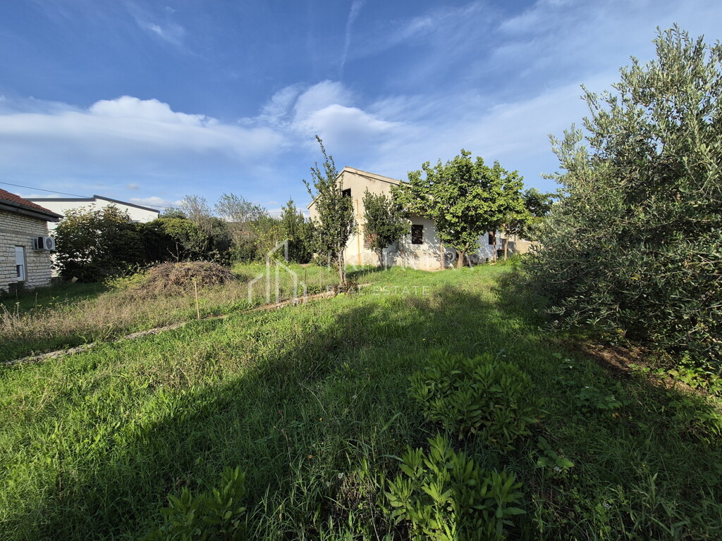 Image 6241068 - 2