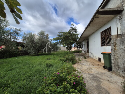 Thumbnail 6241068 - 5