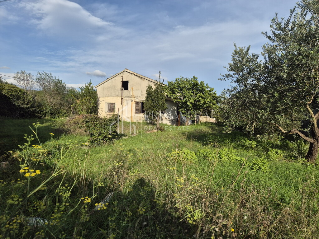 Image 6241068 - 1