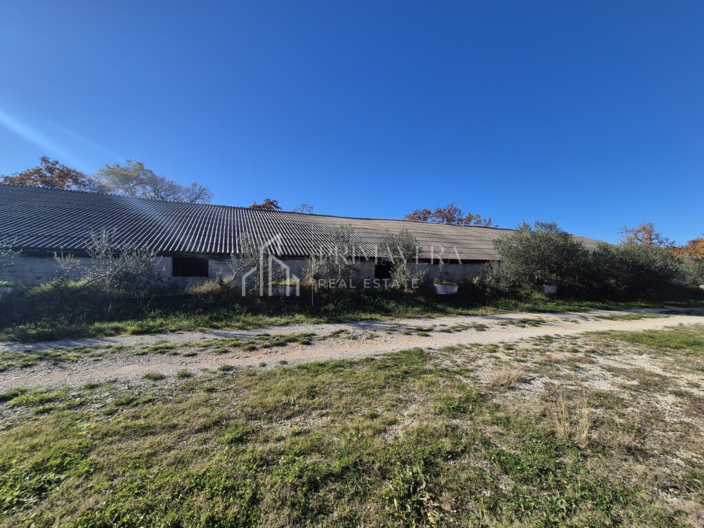 Image 6241070 - 4