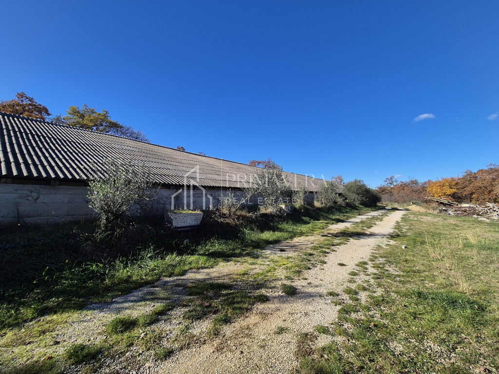 Image 6241070 - 2