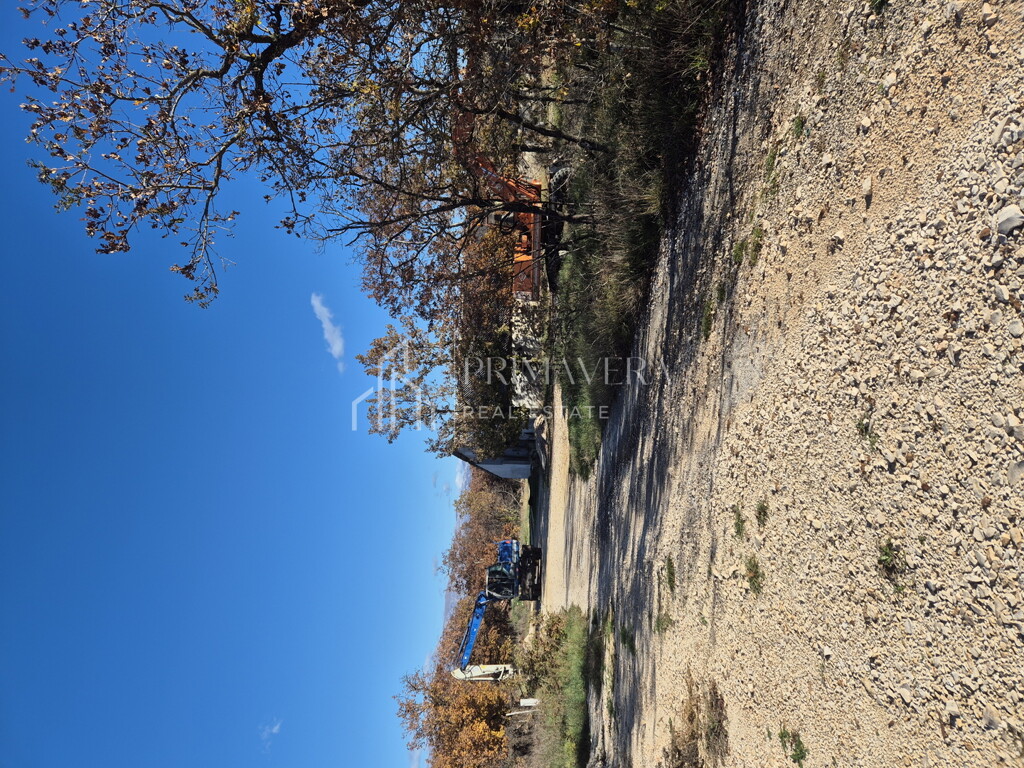 Image 6241070 - 3