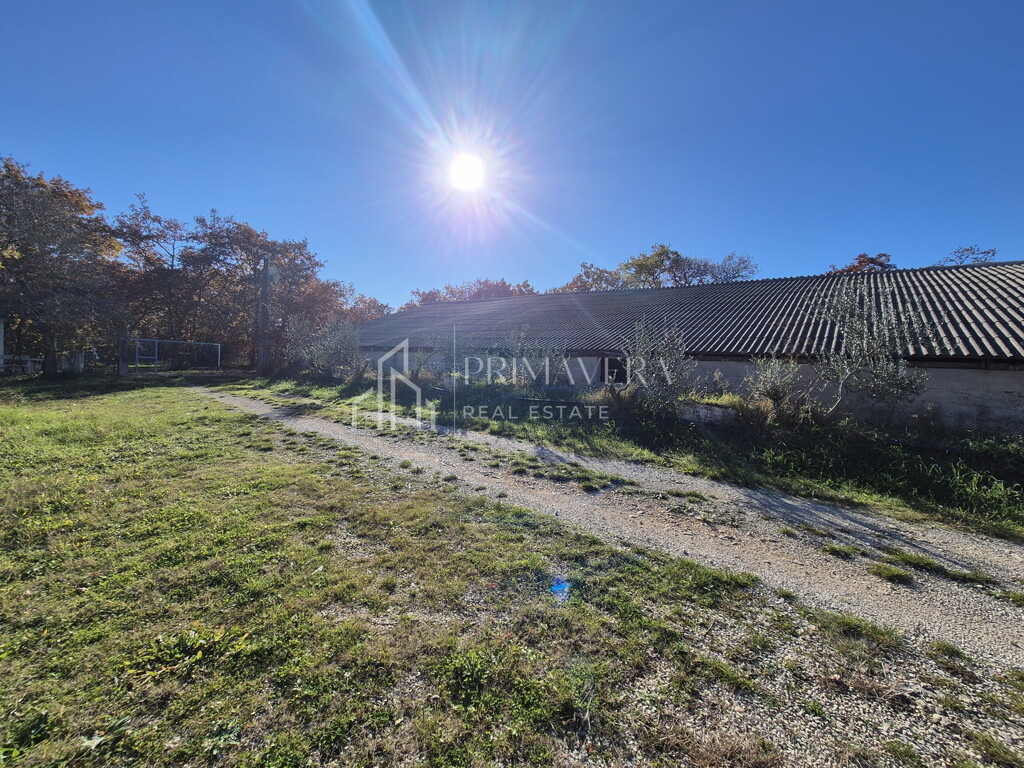 Image 6241070 - 1