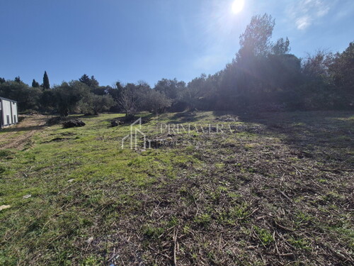 Thumbnail 6241081 - 3